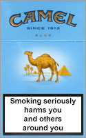 CAMEL LIGHTS (BLUE) - Tobacco Product