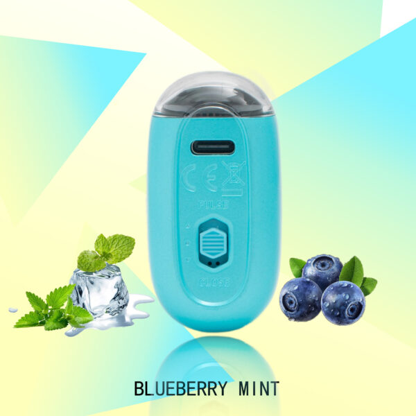 1b277fa41a612407f7fadb03027a9d7e FLUX BLUEBERRY MINT 20000 PUFFS - Tobacco Product