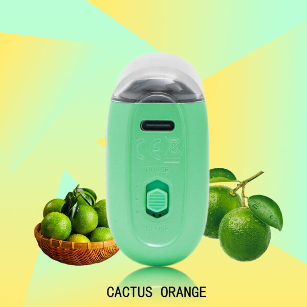 334ac9649ac2e039f0df218d2bab7bd6 FLUX CACTUS ORANGE 20000 PUFFS - Tobacco Product