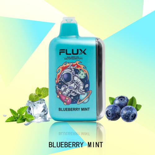 648927fd6d8bb0533a35f181041a7f9e FLUX BLUEBERRY MINT 20000 PUFFS - Tobacco Product