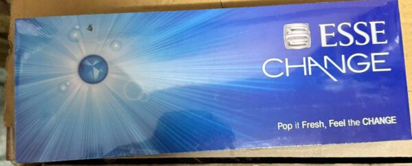 8c33e5d6662ecf27212039760b92b389 ESSE CHANGE MINT ICE BLAST 4MG - Tobacco Product
