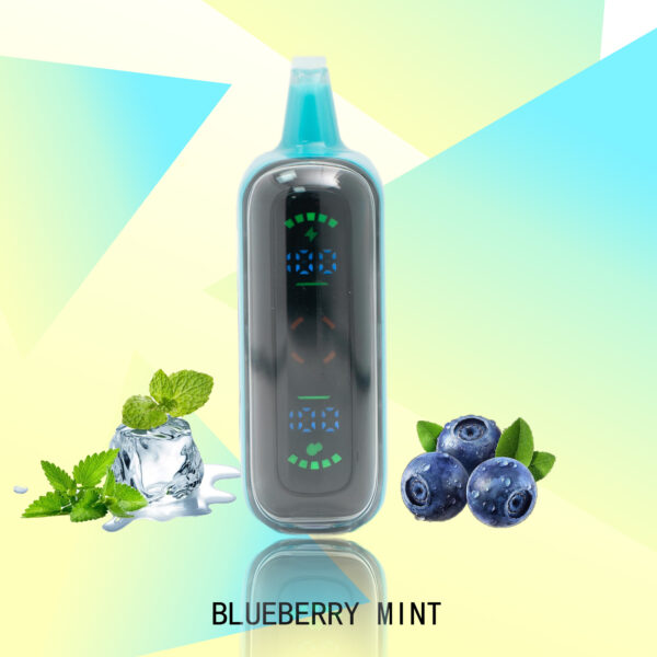 9357bd018b94d85f903fe05f9465e737 FLUX BLUEBERRY MINT 20000 PUFFS - Tobacco Product
