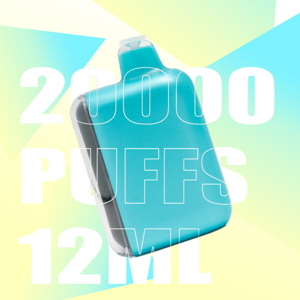 b078289c12e005475336520b32e93a84 FLUX BLUEBERRY MINT 20000 PUFFS - Tobacco Product