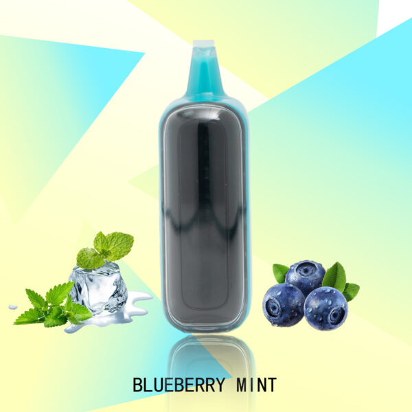 e0fdda6bccd2db3f78bbebe379f4697b FLUX BLUEBERRY MINT 20000 PUFFS - Tobacco Product